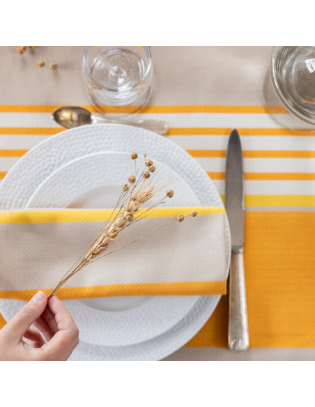 Nappe coton bio, Eguzki